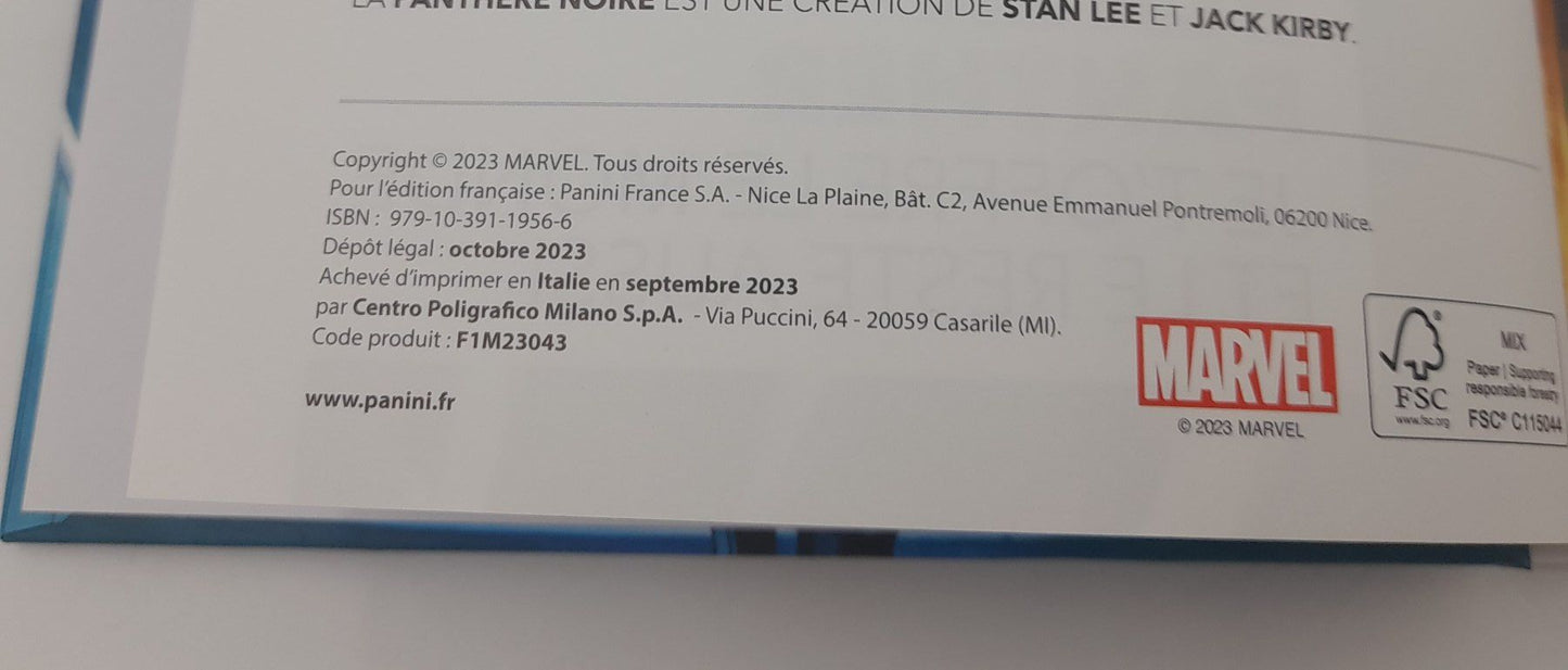 Black Panther – Je t’offre le monde, et le reste aussi