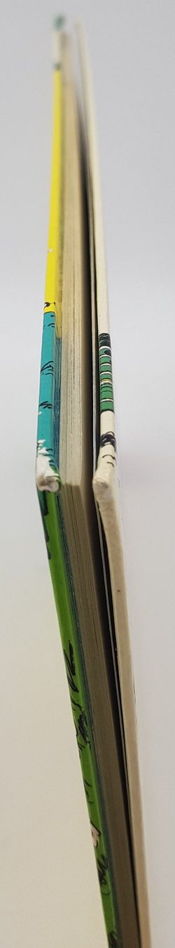 Gaston 11 – Gaffes, Bévues et Boulettes – Édition Originale 1973 – Dupuis